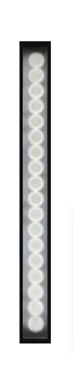 A2-SBL49522-W